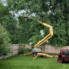 Best Tree Maintenance Programs  in Escatawpa, MS